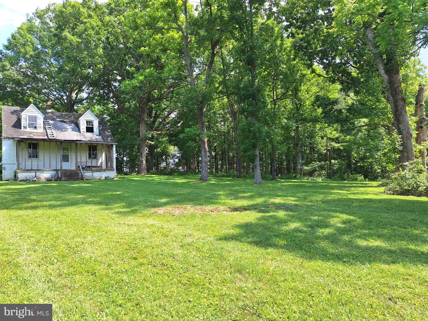 9499 Old Waterloo Rd Property Photo 13