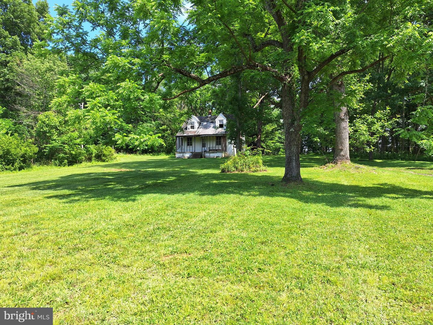 9499 Old Waterloo Rd Property Photo 14