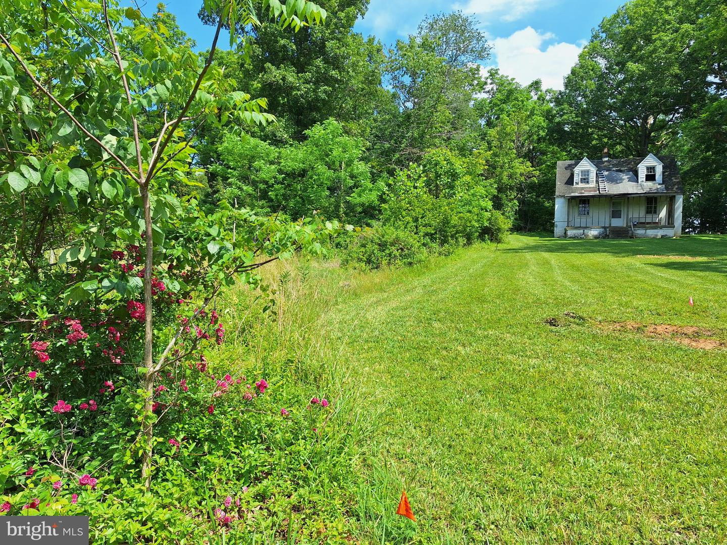 9499 Old Waterloo Rd Property Photo 15