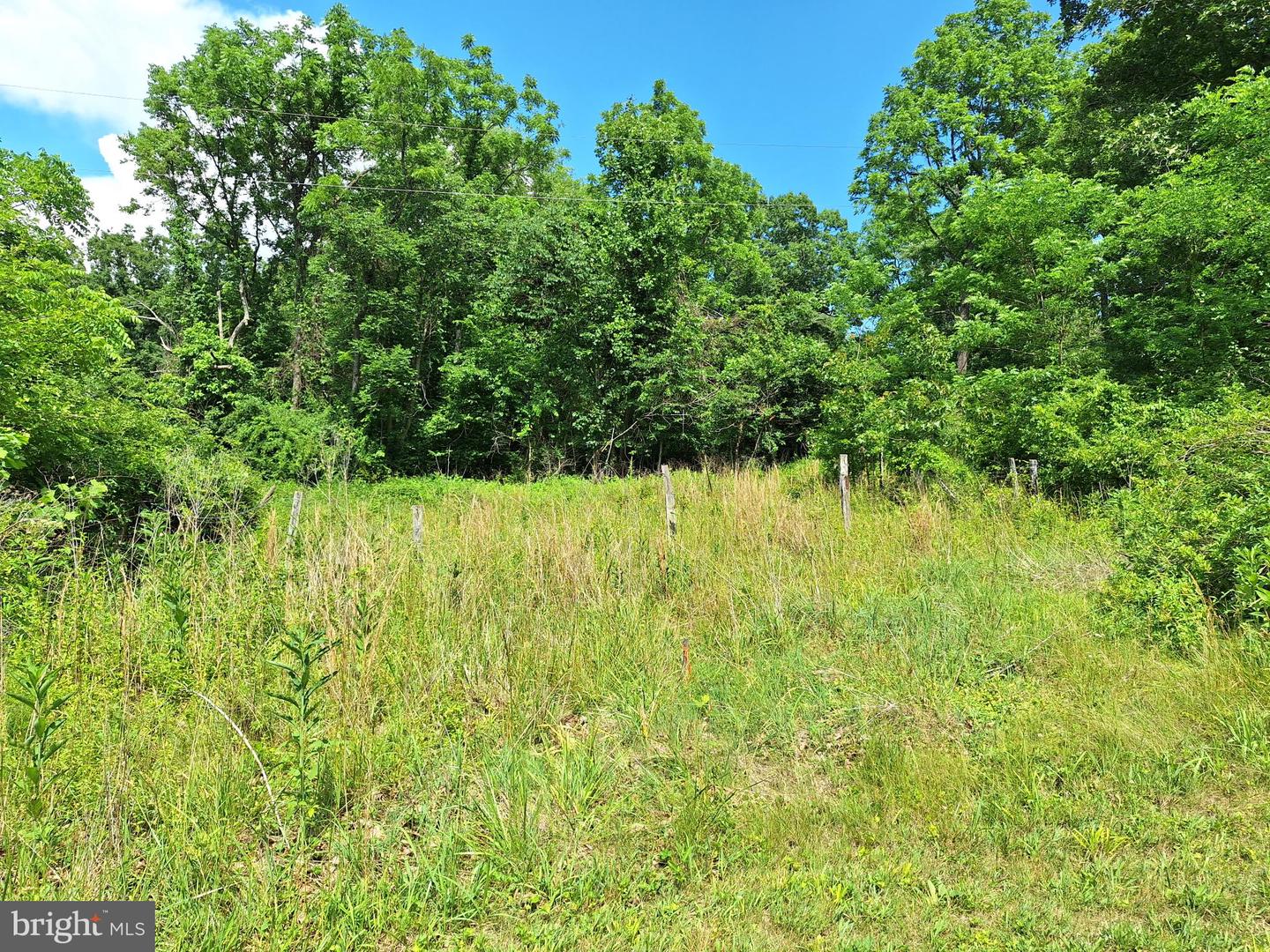 9499 Old Waterloo Rd Property Photo 16