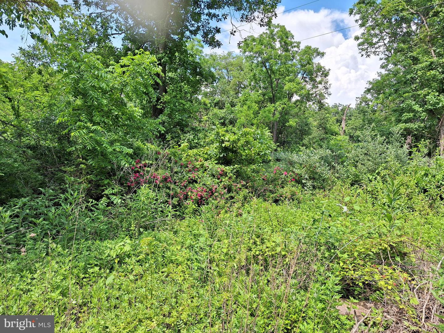 9499 Old Waterloo Rd Property Photo 17