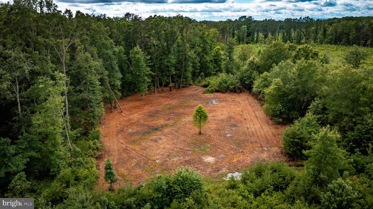 Ritchie Rd Property Photo 17