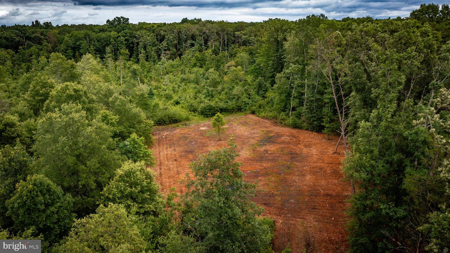 Ritchie Rd Property Photo 18