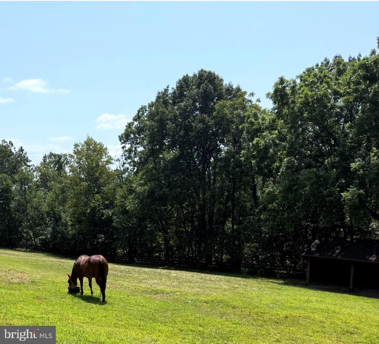5221 Mountain View Dr Property Photo 24
