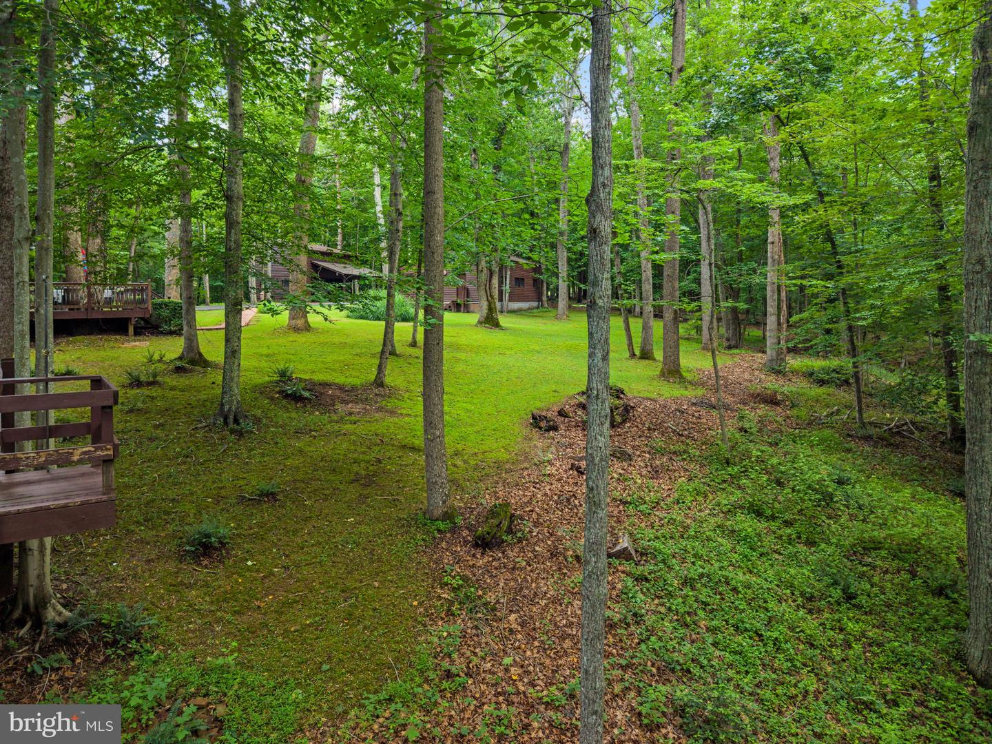 9914 Crest Ct Property Photo 109