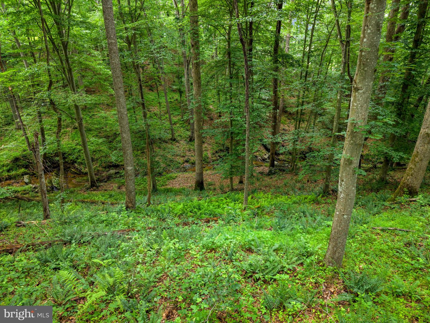 9914 Crest Ct Property Photo 111