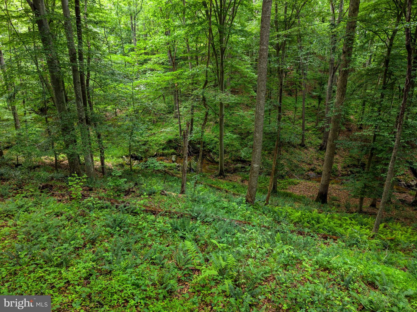 9914 Crest Ct Property Photo 112