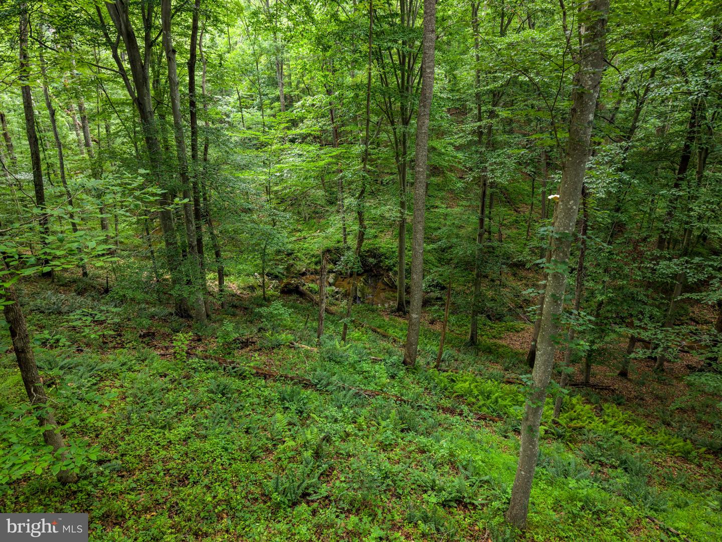 9914 Crest Ct Property Photo 113