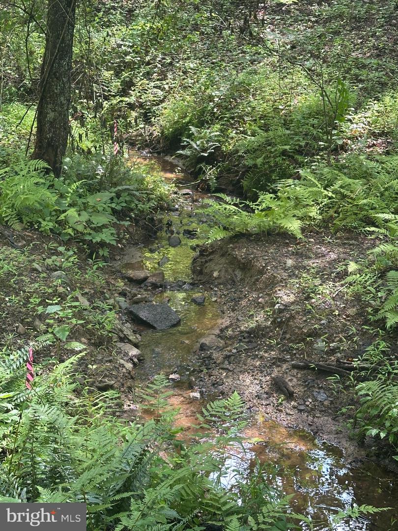 Mount Nebo Church Rd Property Photo 8
