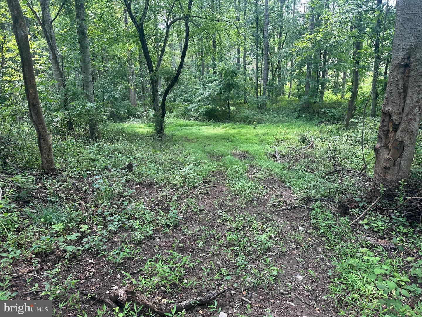 Mount Nebo Church Rd Property Photo 9