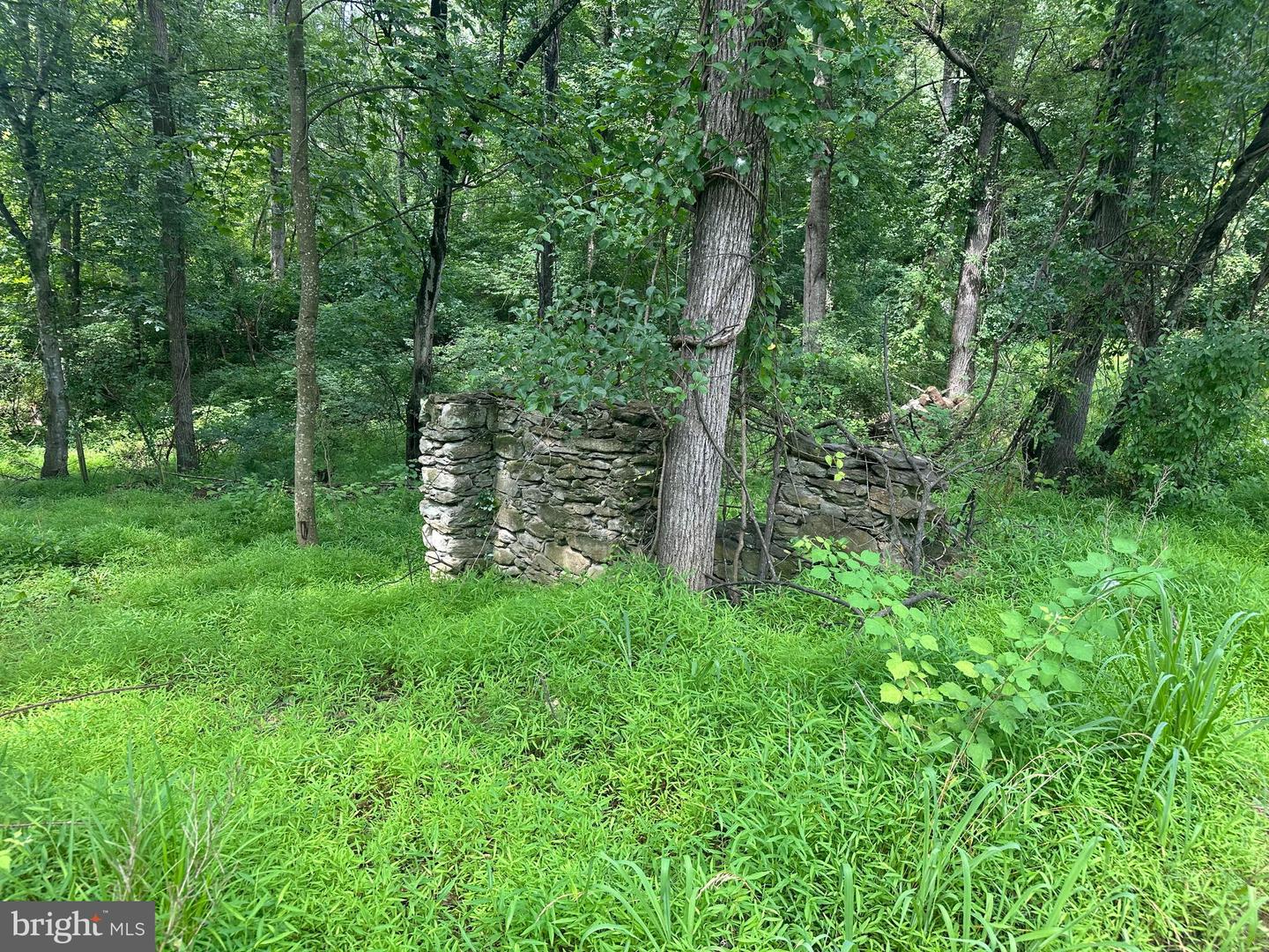 Mount Nebo Church Rd Property Photo 10