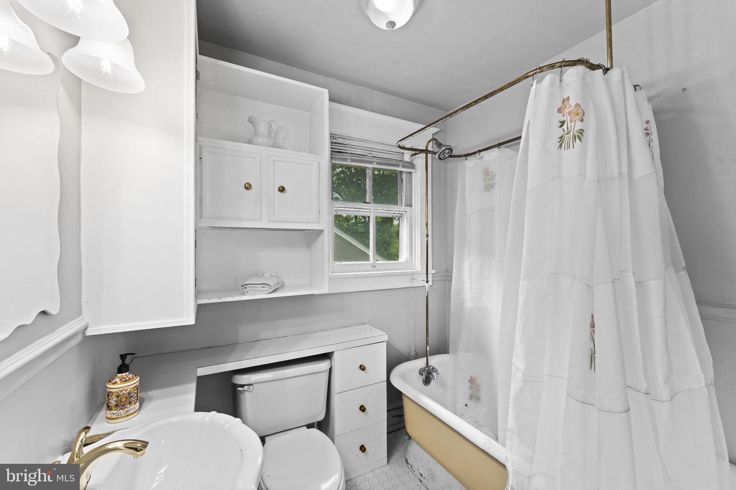 133 Waterloo St Property Photo 32