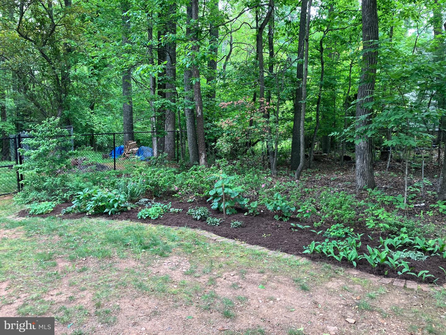 7237 Baldwin Ridge Rd Property Photo 53