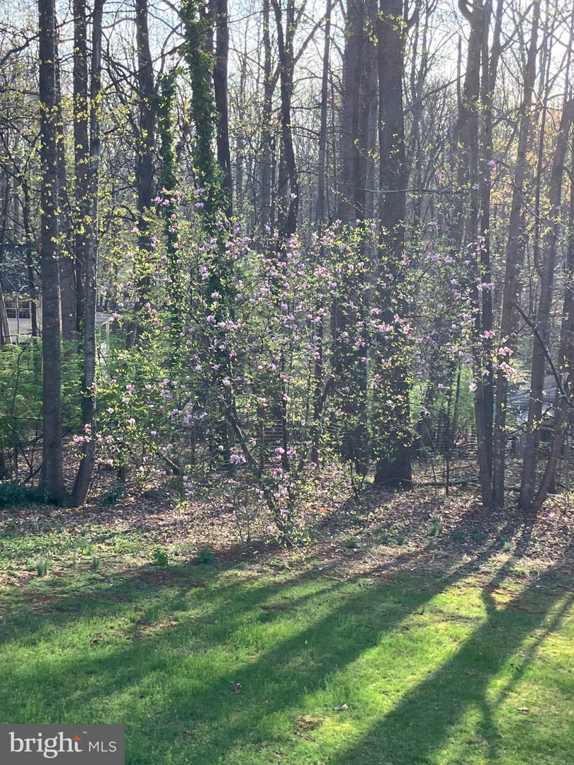 7237 Baldwin Ridge Rd Property Photo 56