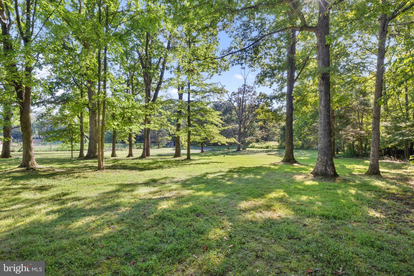 8297 Squires Ln Property Photo 2