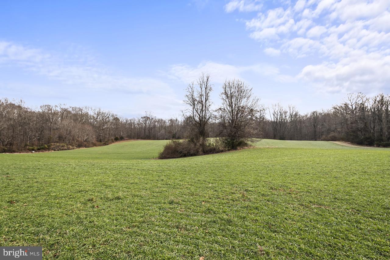 7389 Leeds Manor Rd Property Photo 1