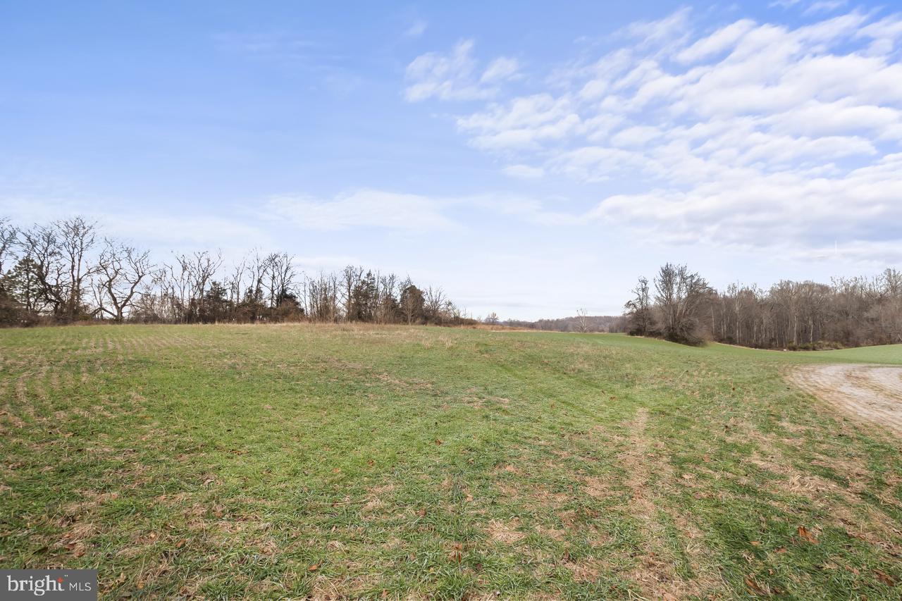7389 Leeds Manor Rd Property Photo 4
