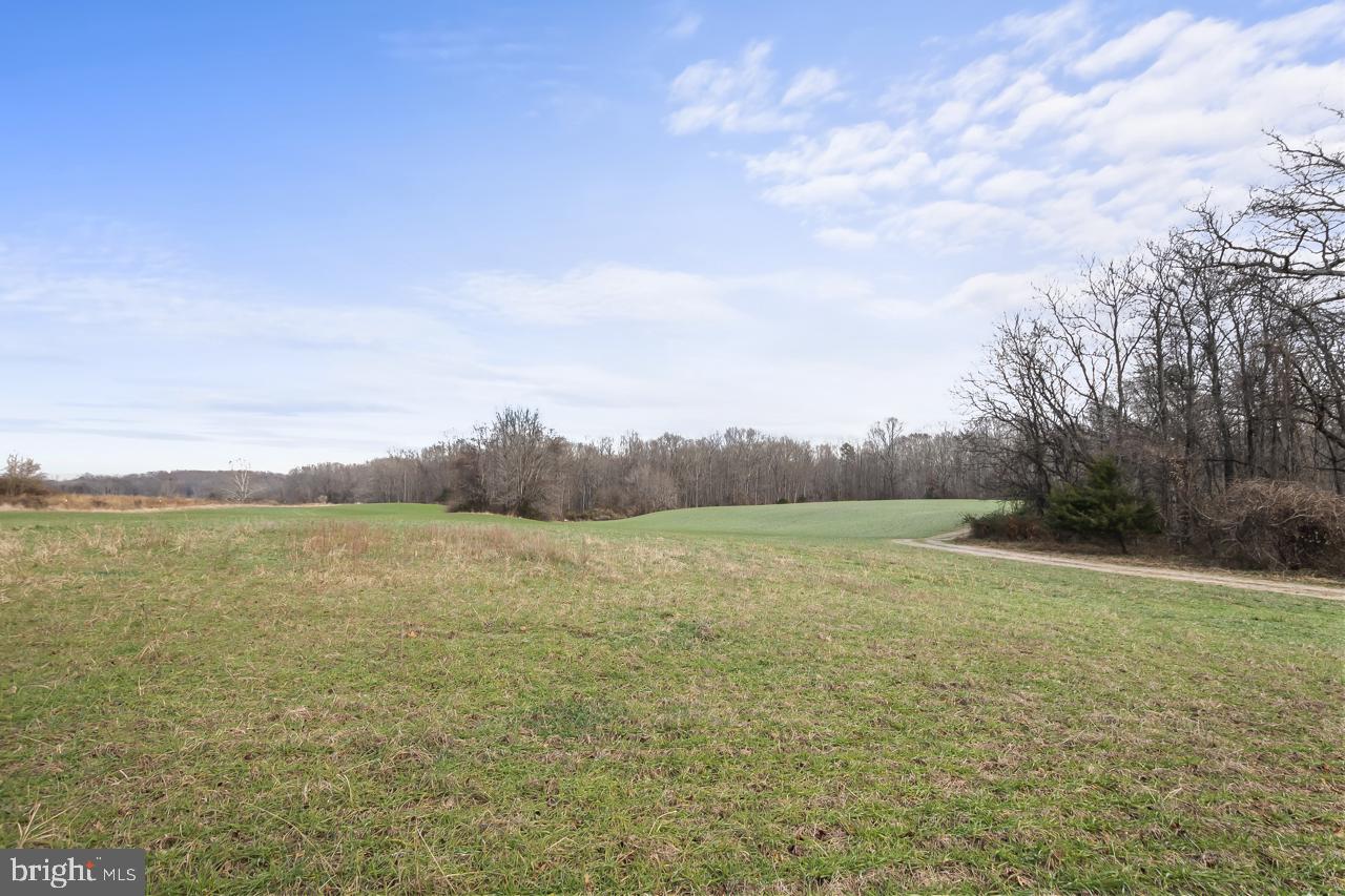 7389 Leeds Manor Rd Property Photo 5