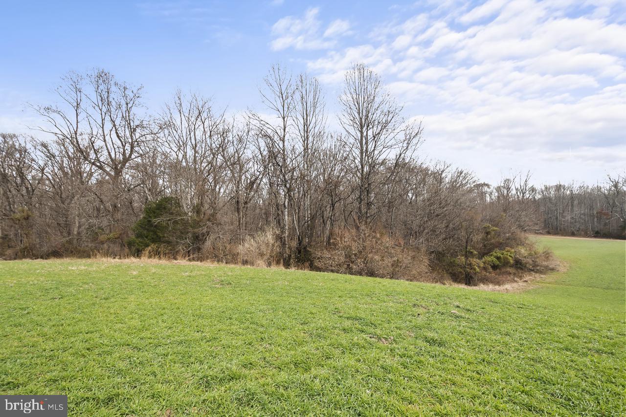7389 Leeds Manor Rd Property Photo 6