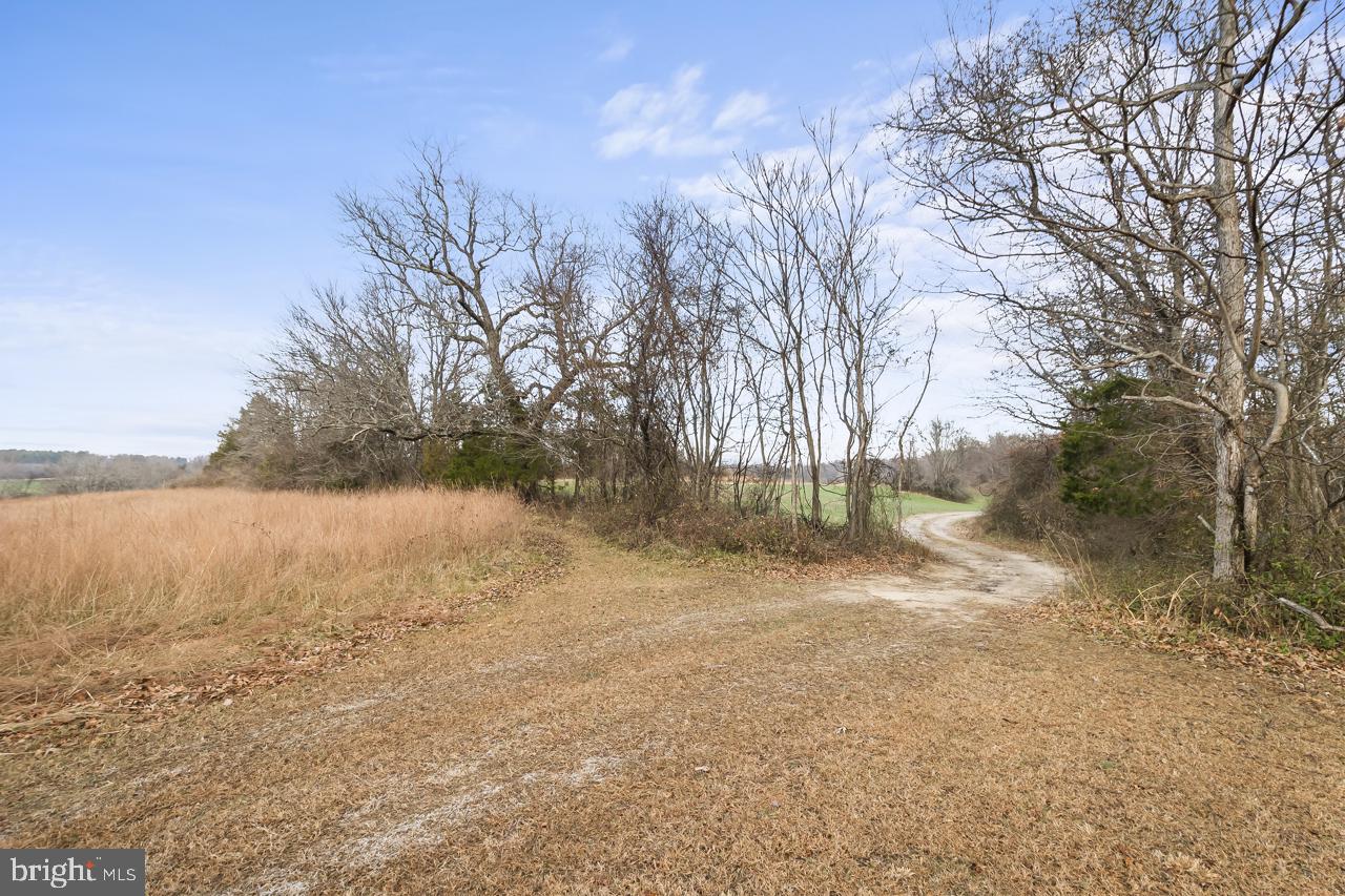 7389 Leeds Manor Rd Property Photo 11