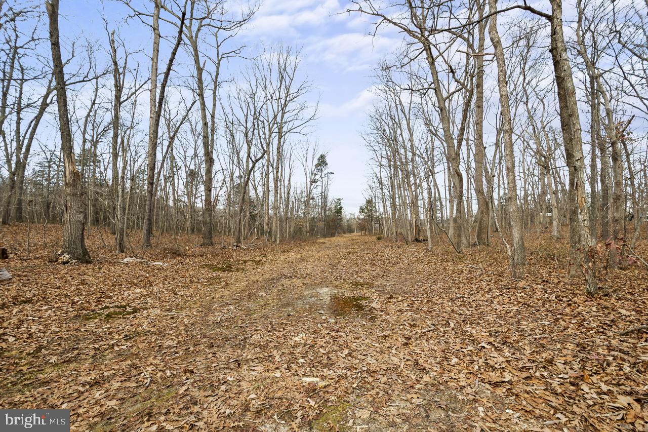 7389 Leeds Manor Rd Property Photo 15