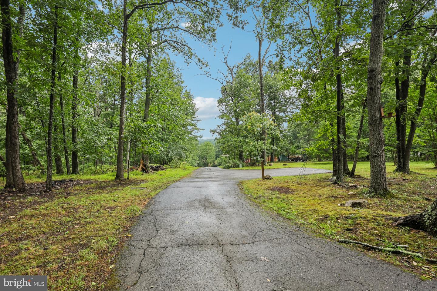 5250 Dapple Ln Property Photo 4