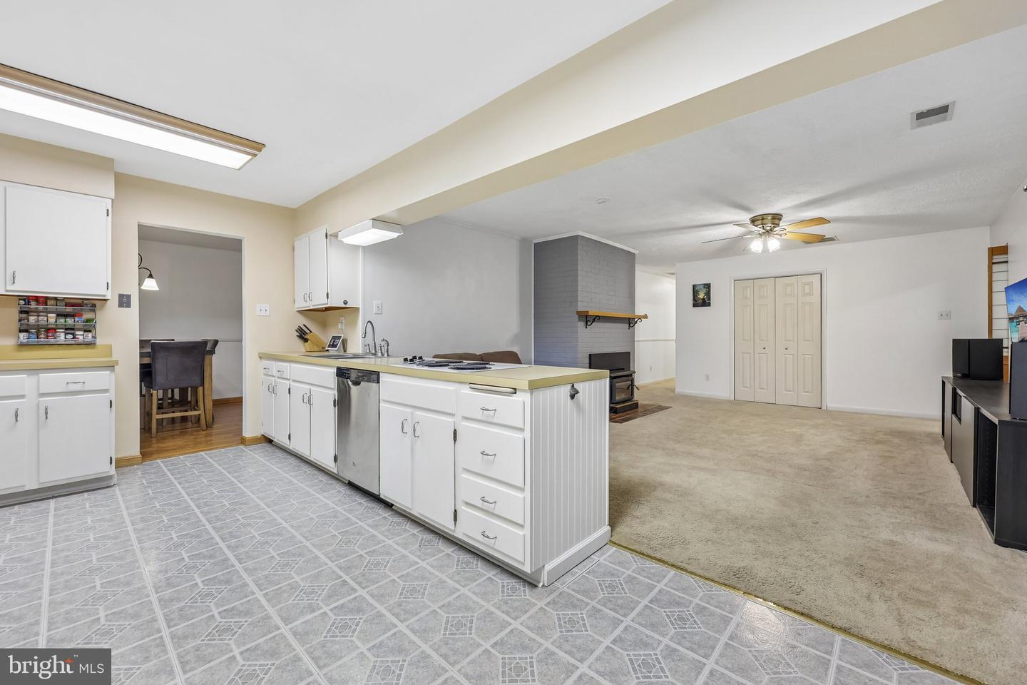 5250 Dapple Ln Property Photo 16