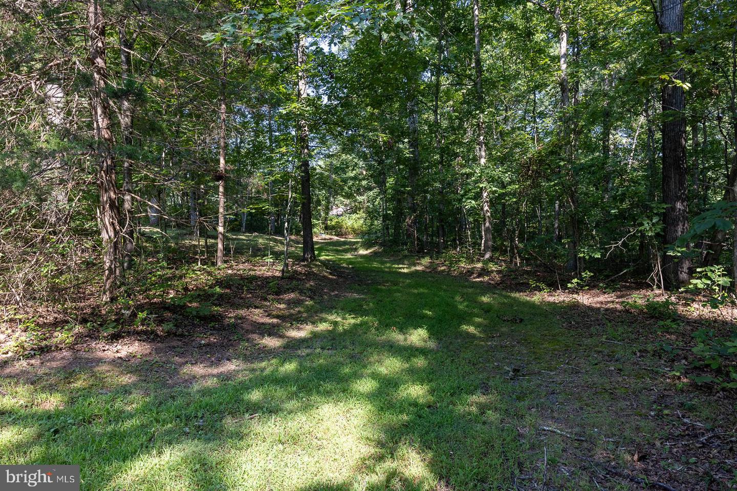 7323 Okeefe Rd Property Photo 75