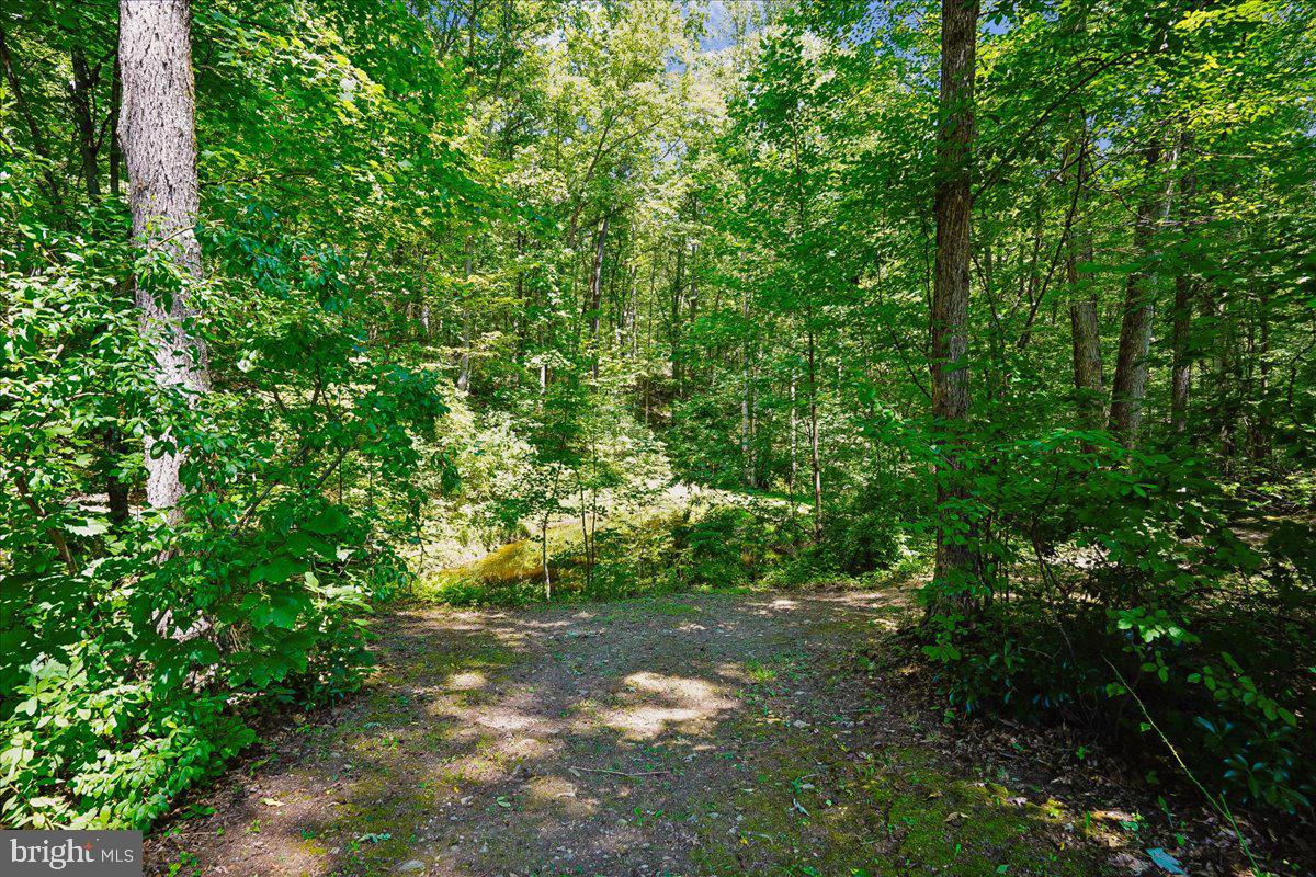 4742 Greene Love Ln Property Photo 94