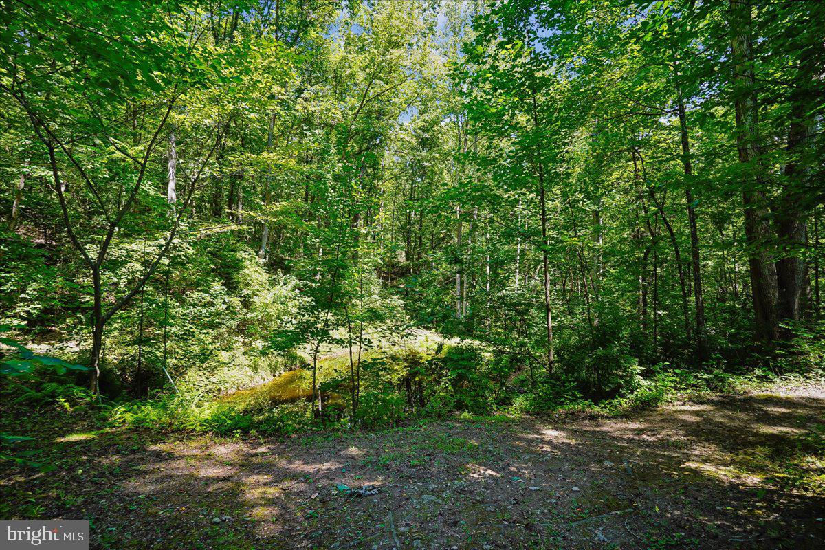 4742 Greene Love Ln Property Photo 96