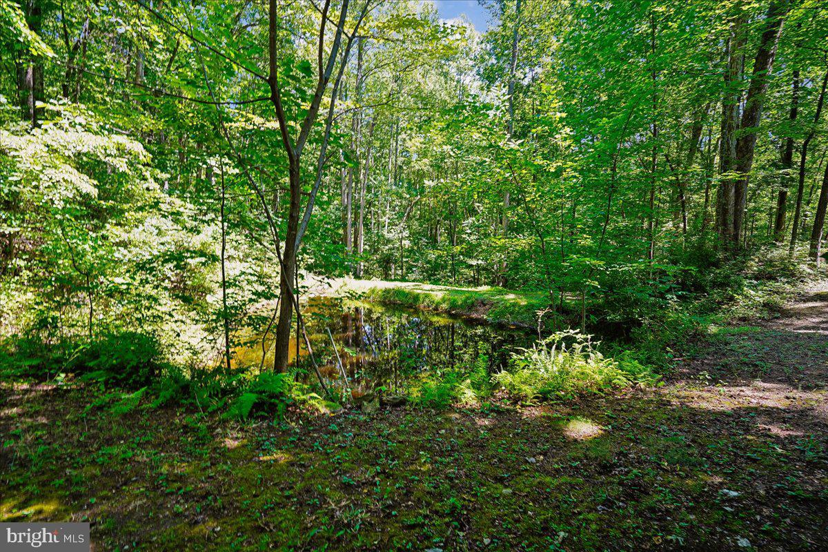 4742 Greene Love Ln Property Photo 97