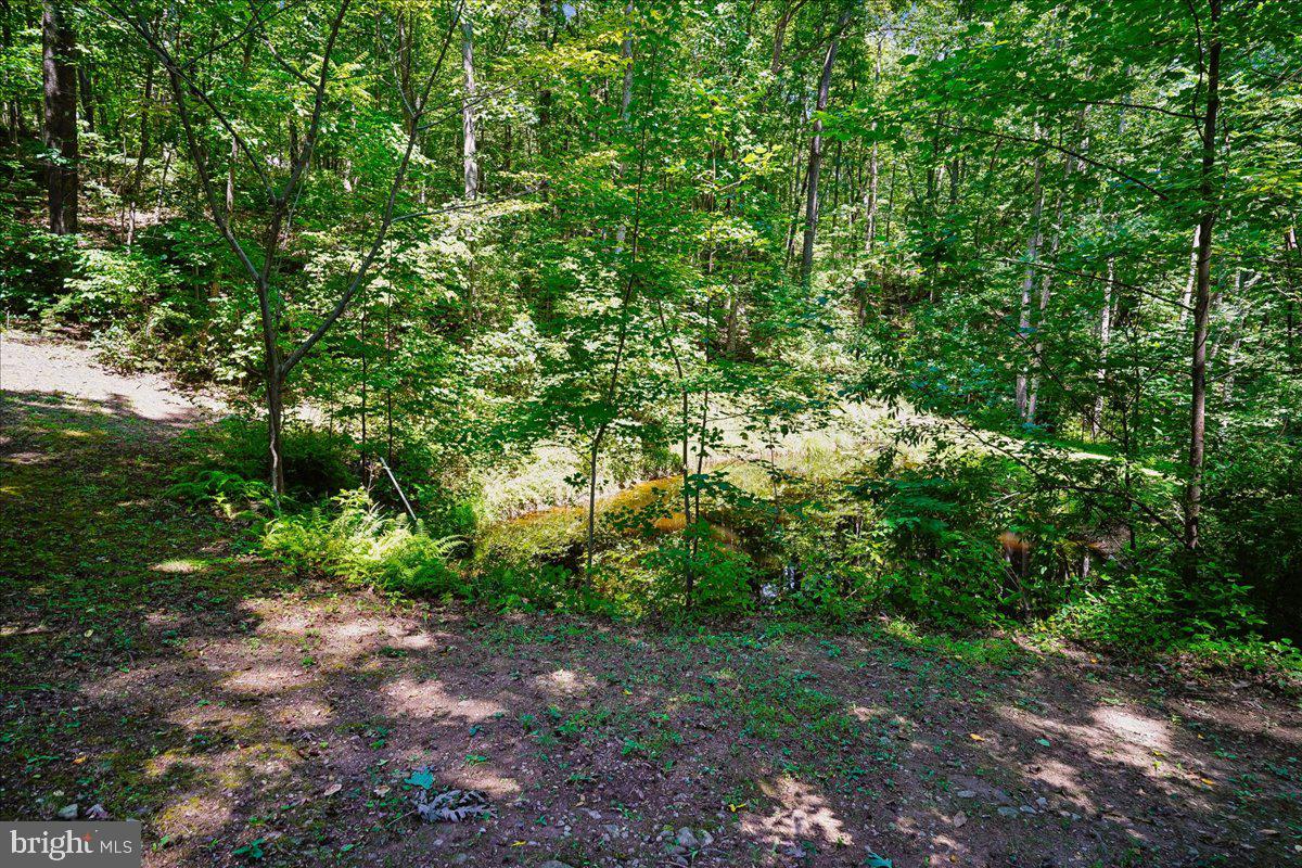 4742 Greene Love Ln Property Photo 99