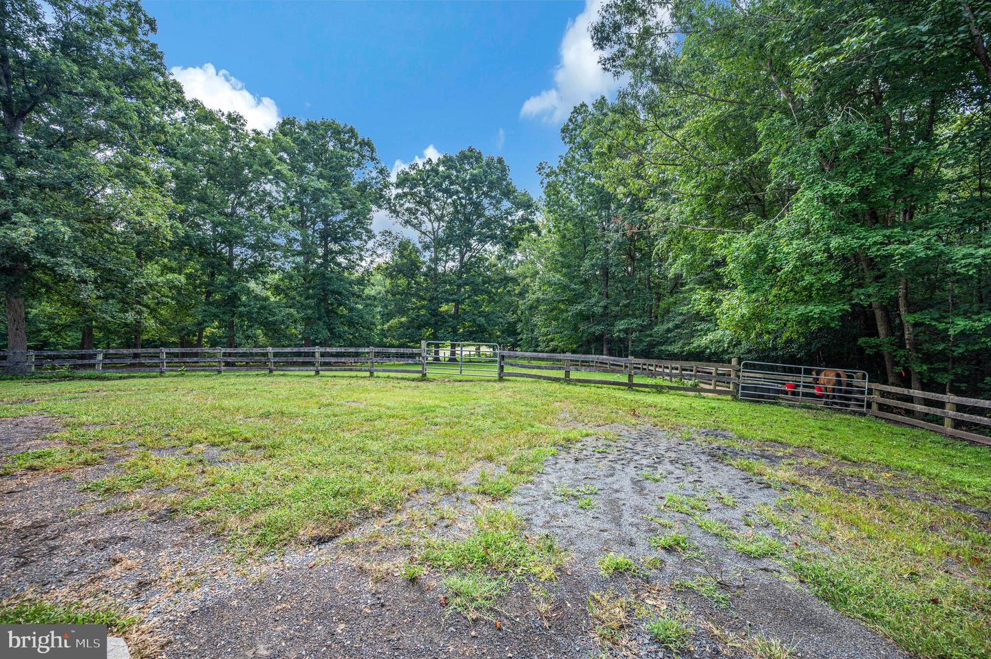 5099 Courtneys Corner Rd Property Photo 8