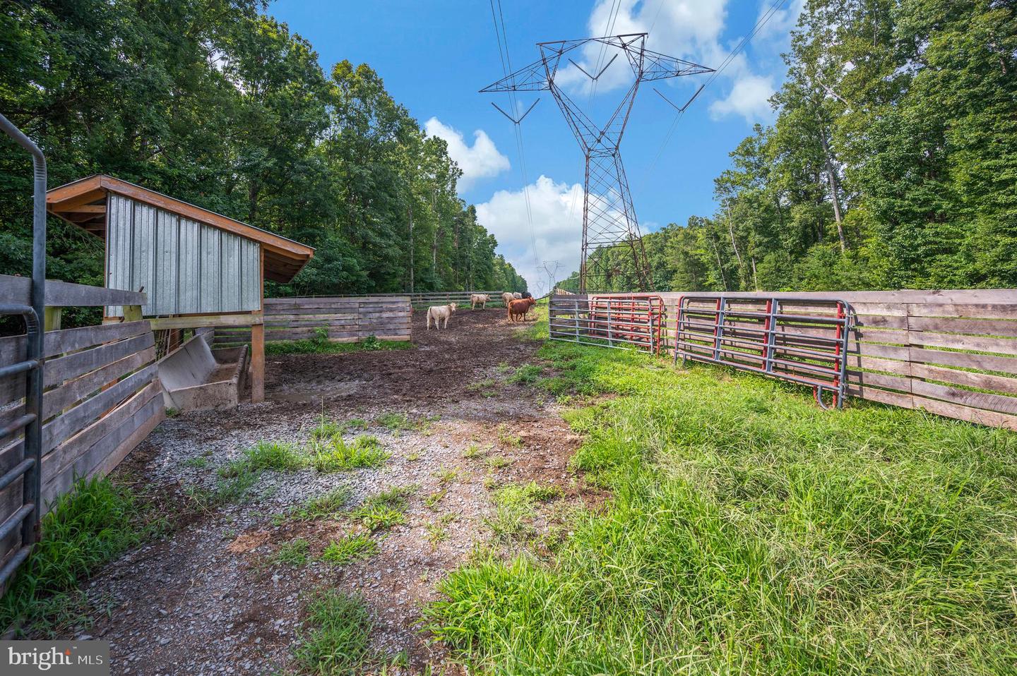 5099 Courtneys Corner Rd Property Photo 17