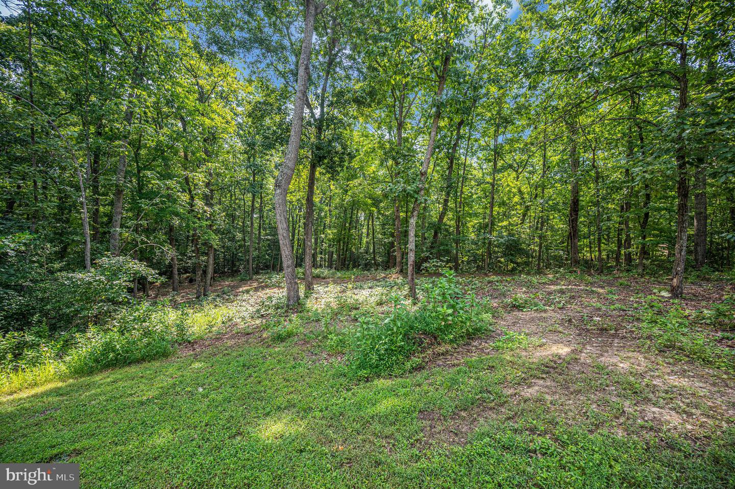 5099 Courtneys Corner Rd Property Photo 61