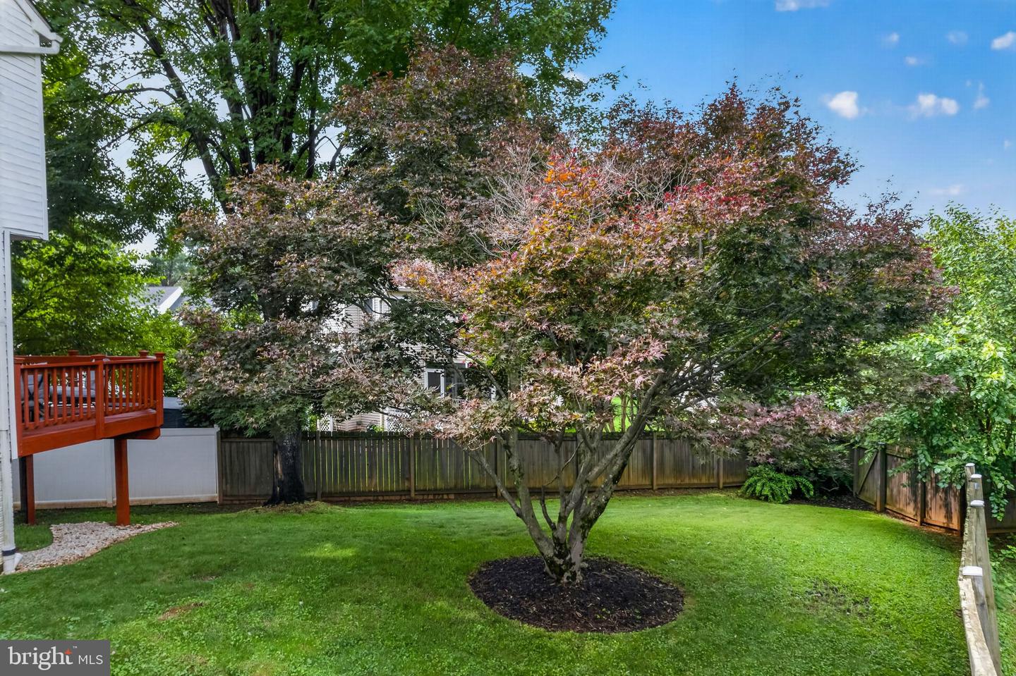 6517 Beechnut Cir Property Photo 40