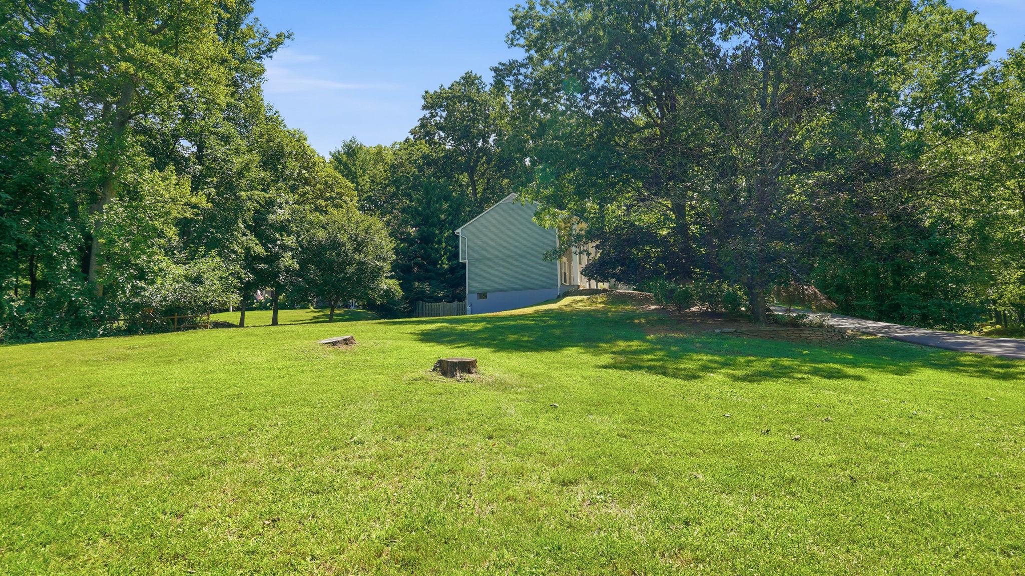 7407 Cedar Run Dr Property Photo 38