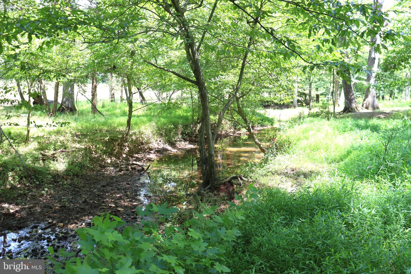 8000 Springhope Dr Property Photo 79