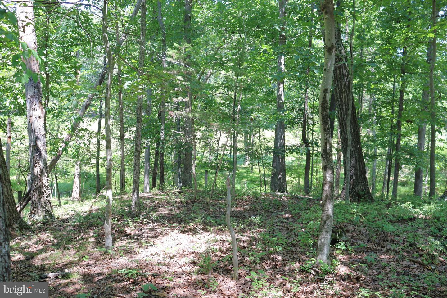 8000 Springhope Dr Property Photo 96