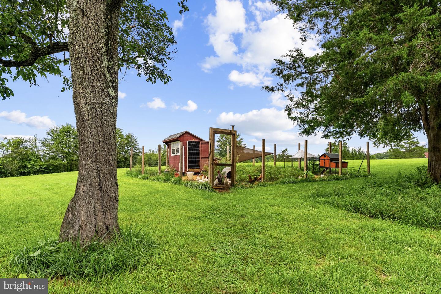 10401 Green Rd Property Photo 61