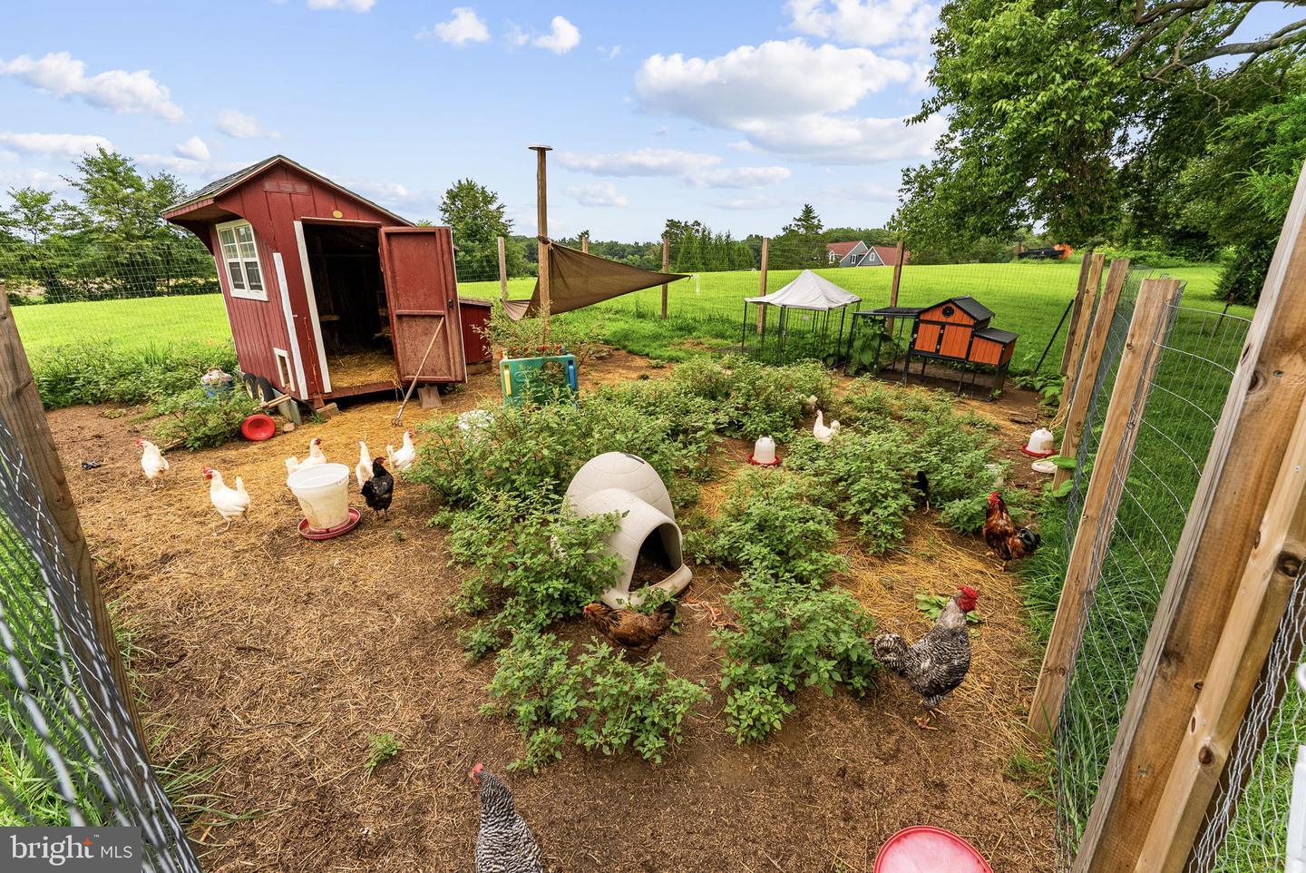 10401 Green Rd Property Photo 62