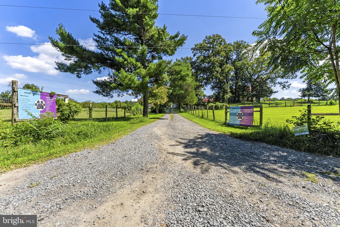 10401 Green Rd Property Photo 86