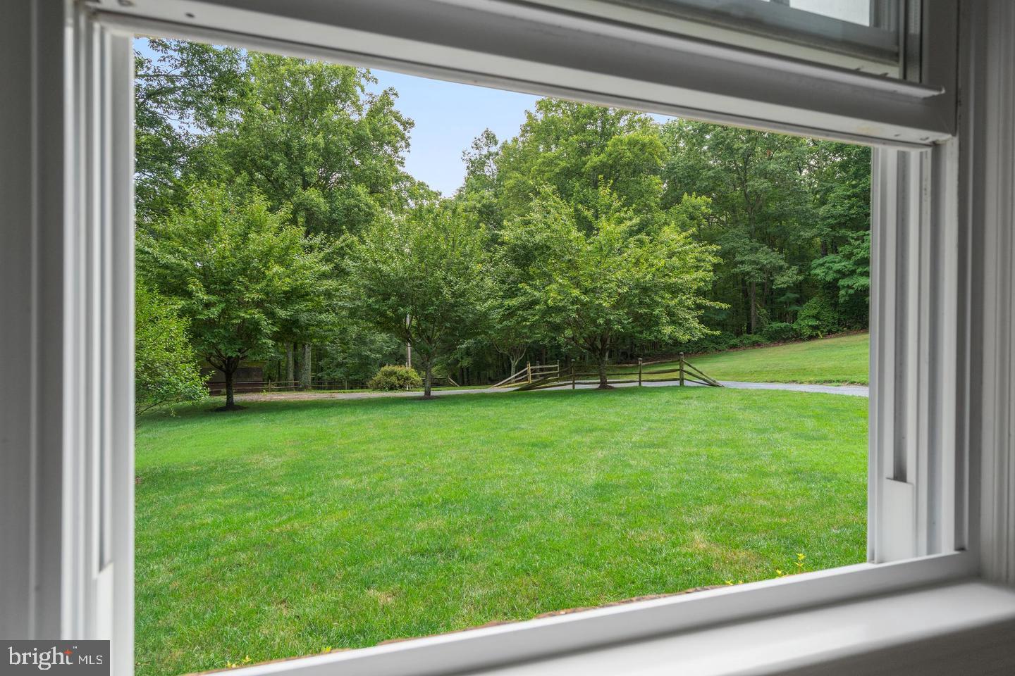 9808 Timber Hts Property Photo 23