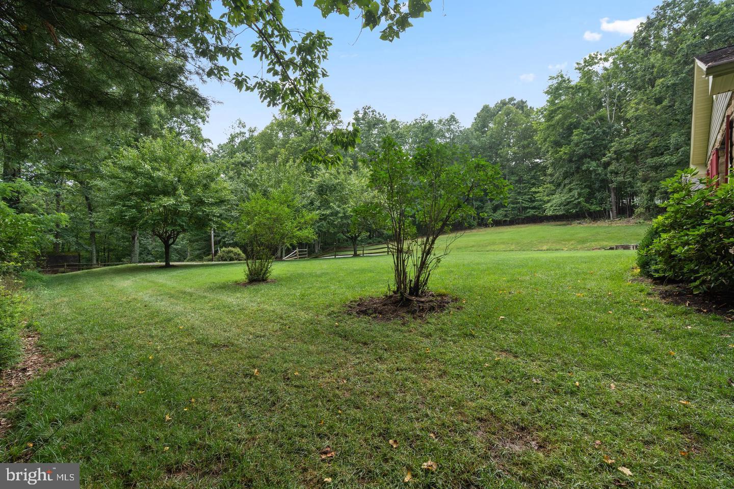 9808 Timber Hts Property Photo 58