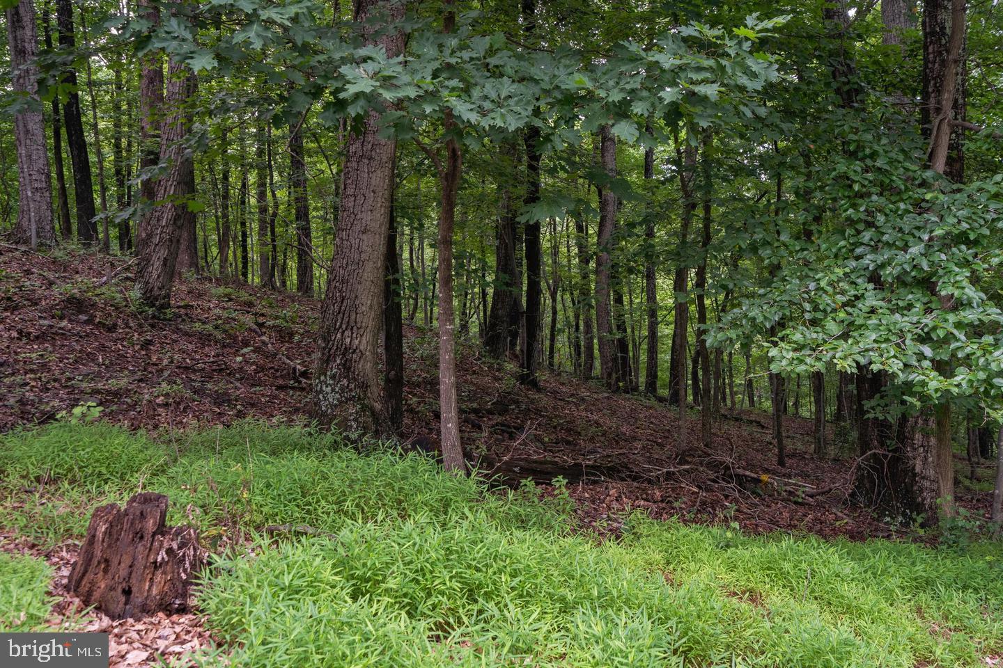 9808 Timber Hts Property Photo 75