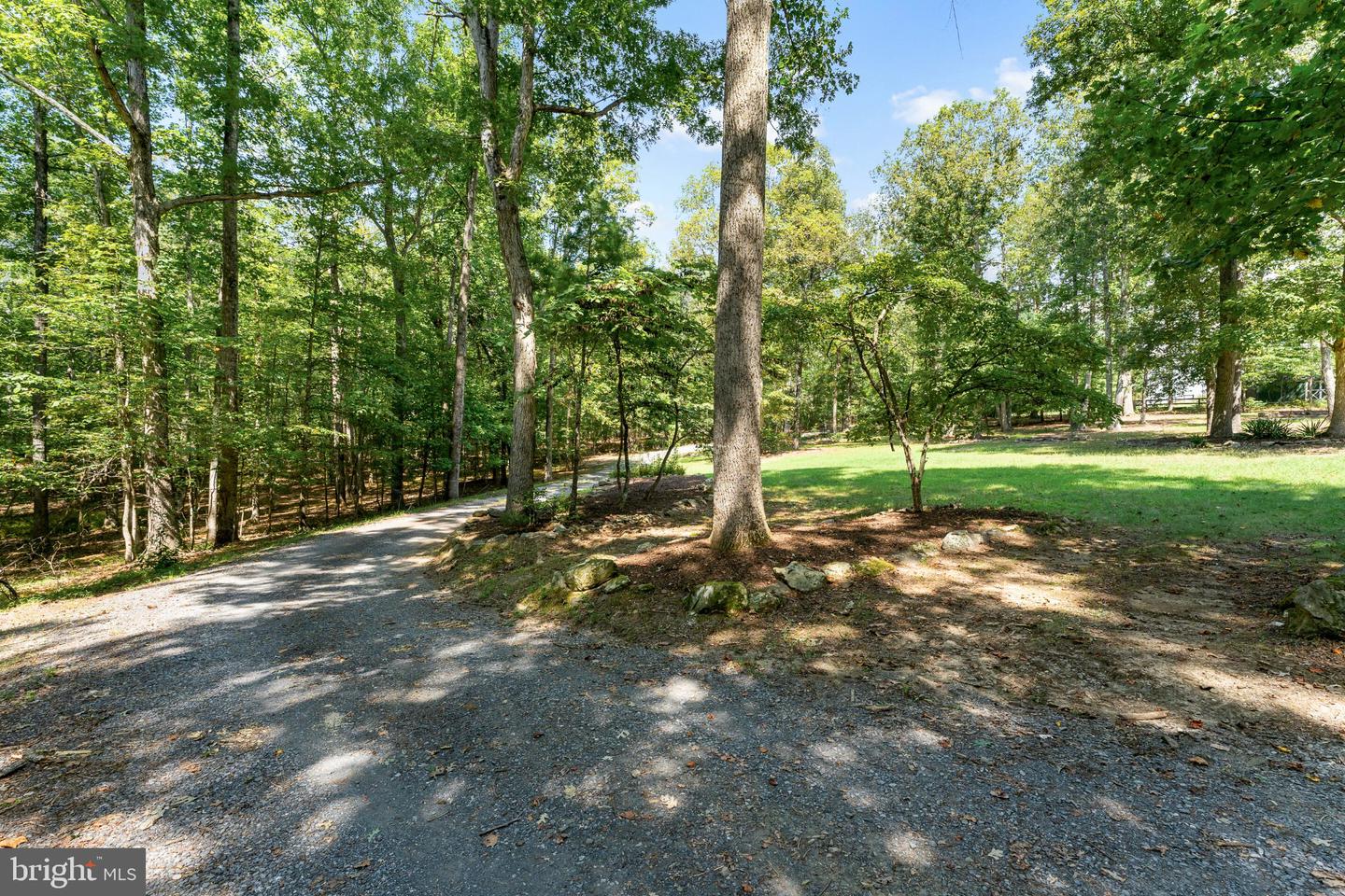 6727 Bull Moose Ct Property Photo 40