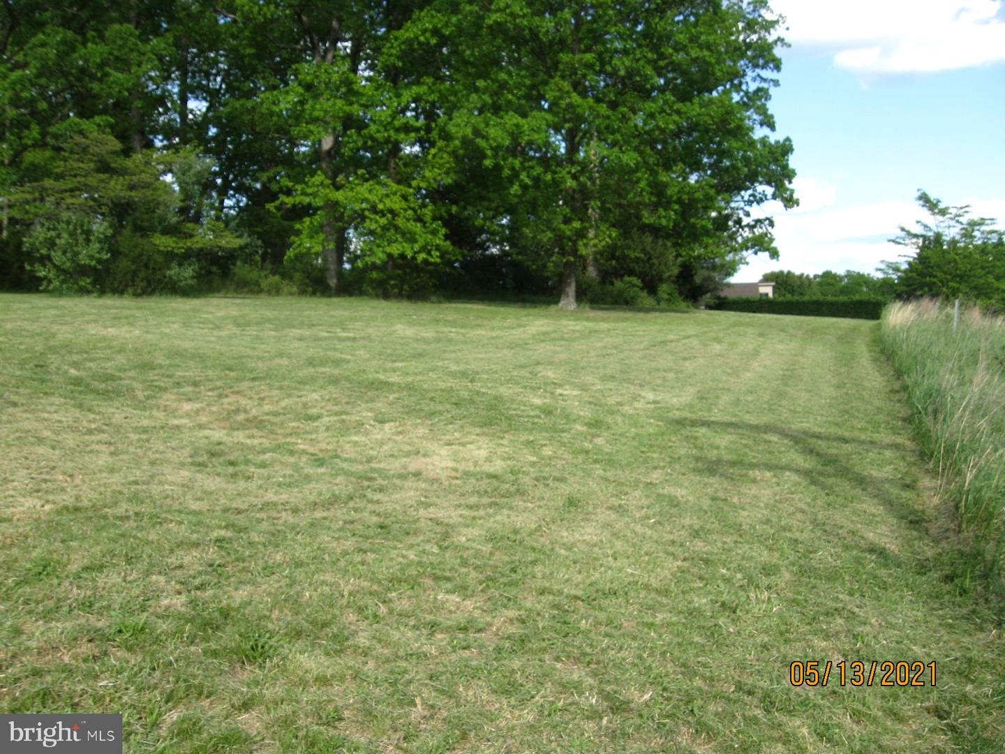 353 Greenwood Road Property Photo 17
