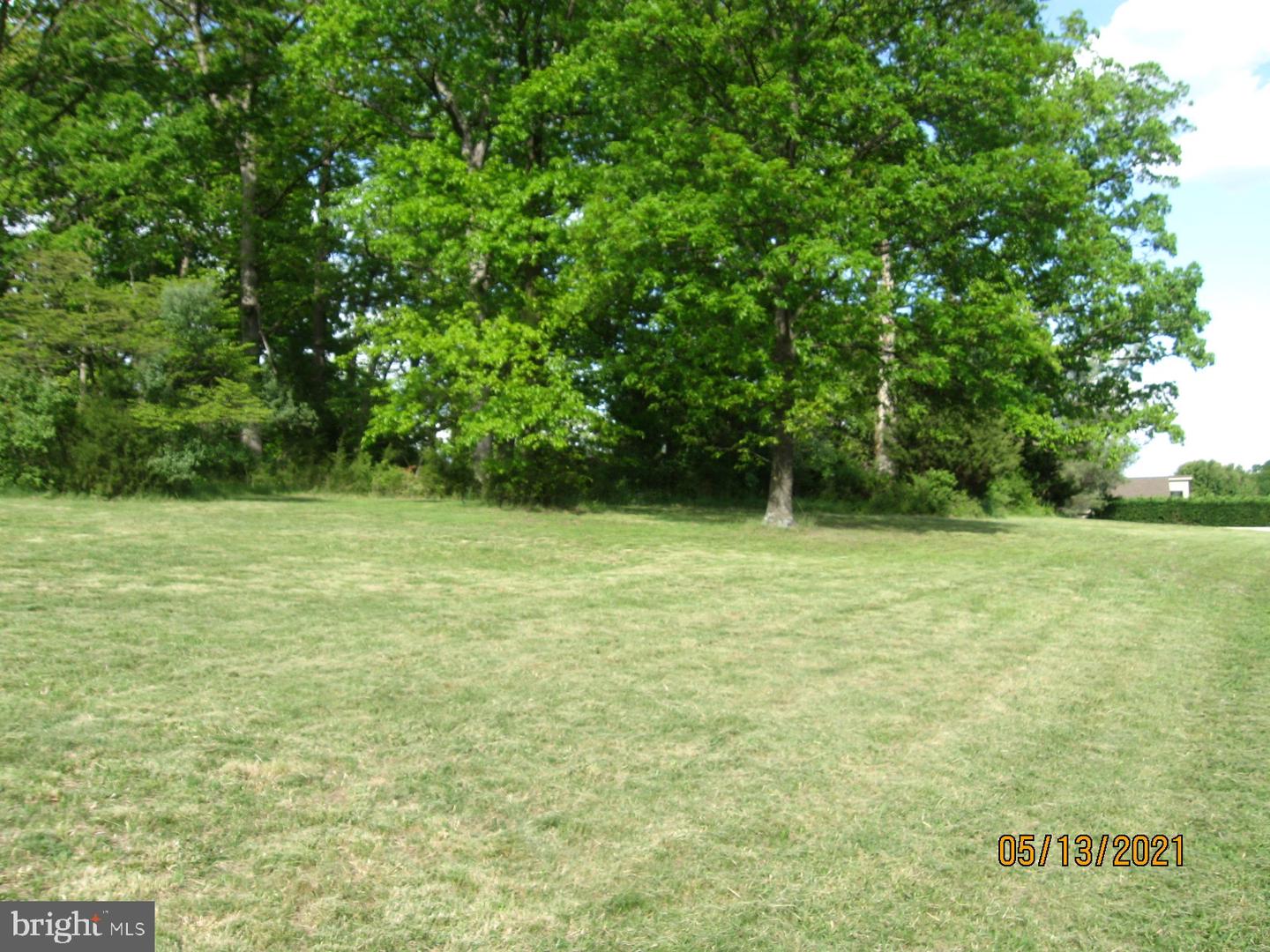 353 Greenwood Road Property Photo 18
