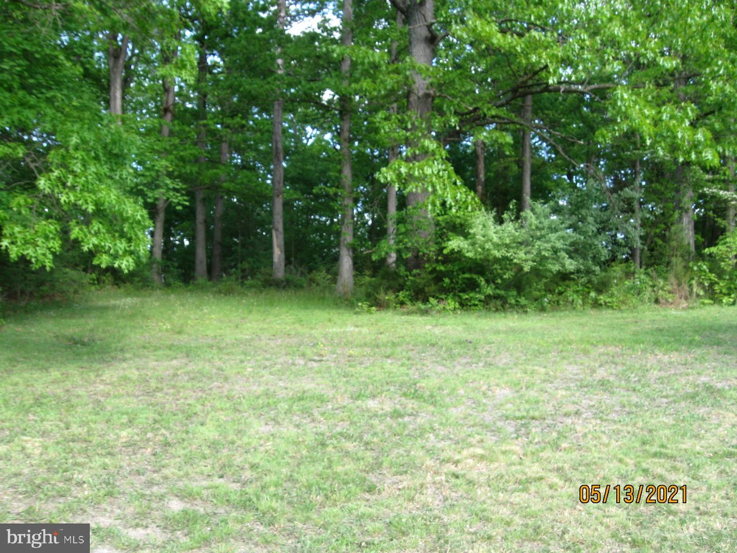 353 Greenwood Road Property Photo 22
