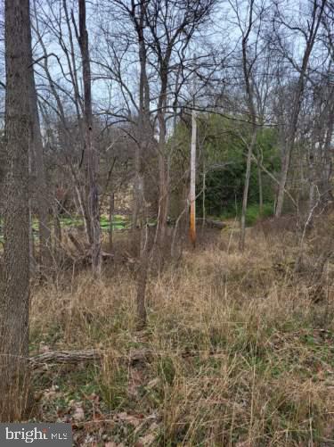 7152 Middle Rd Property Photo 13